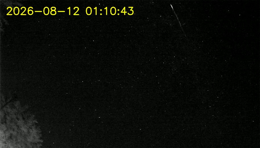 Meteorit